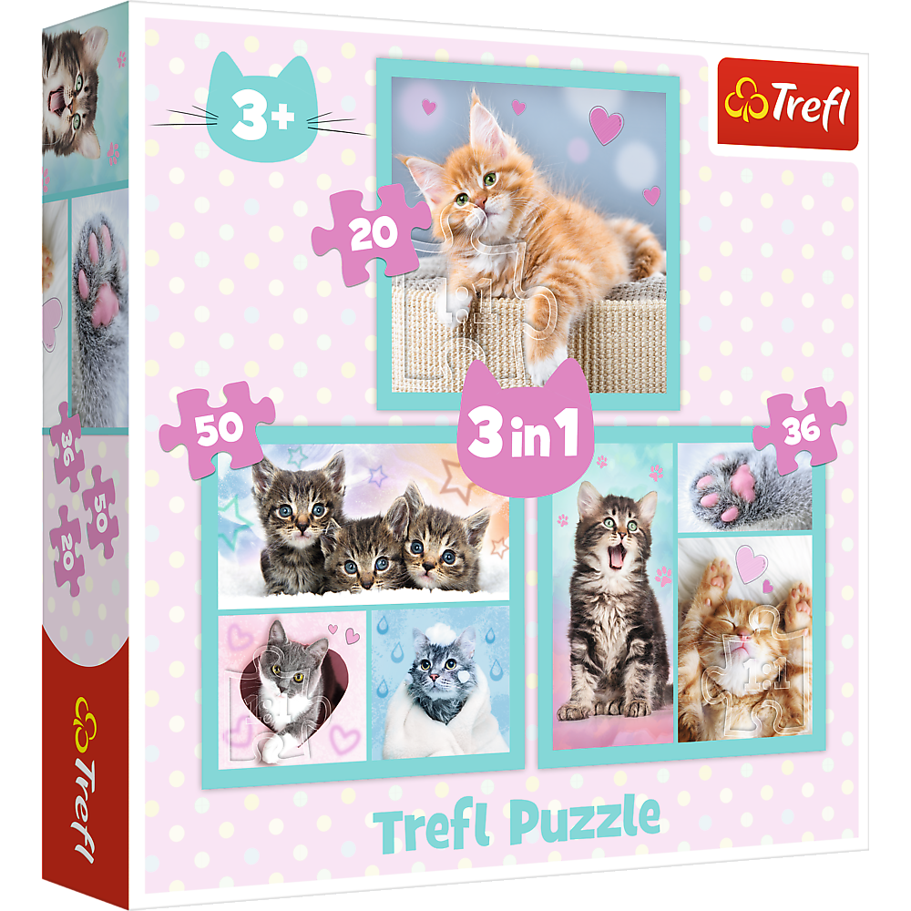 TREFL PUZZLES TREFL 3 dėlionių rinkinys „Kačiukai“